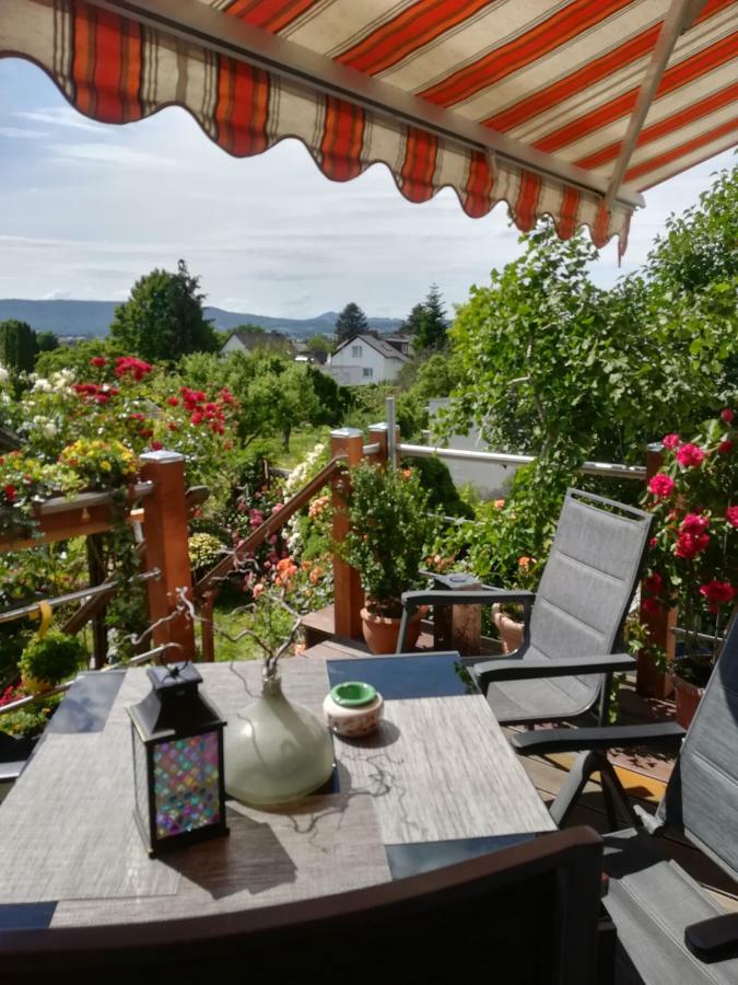 Appartment Fasanenhof Klinikum Und Uni Nah Mit Netflix 카셀 외부 사진